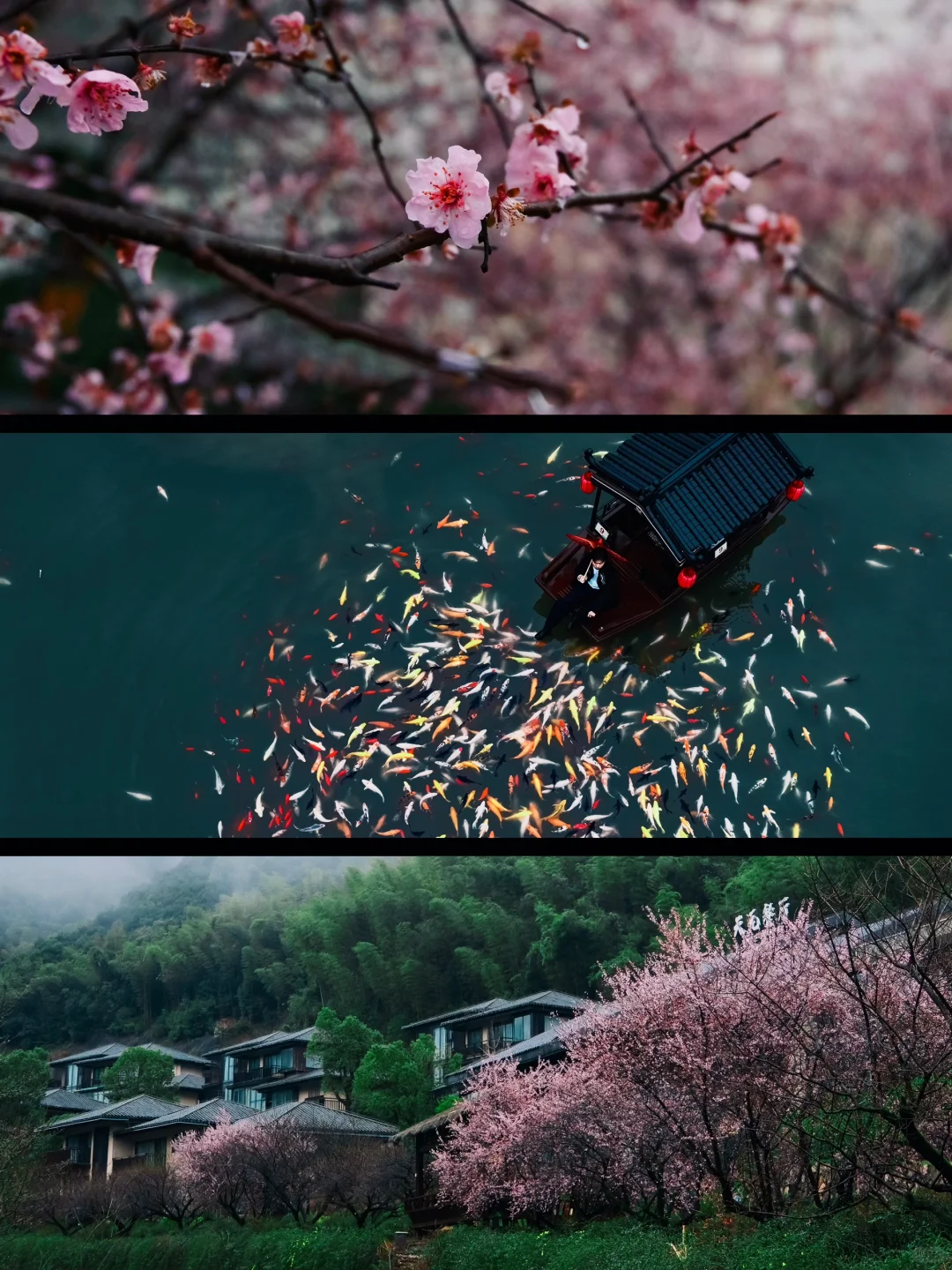 《国家地理》推荐的烟雨小镇，美的死心塌地的
