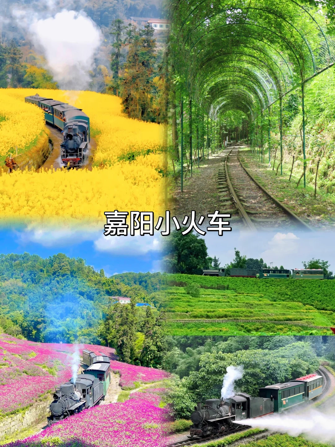 来乐山旅游🔥这8个地方一定要去❗