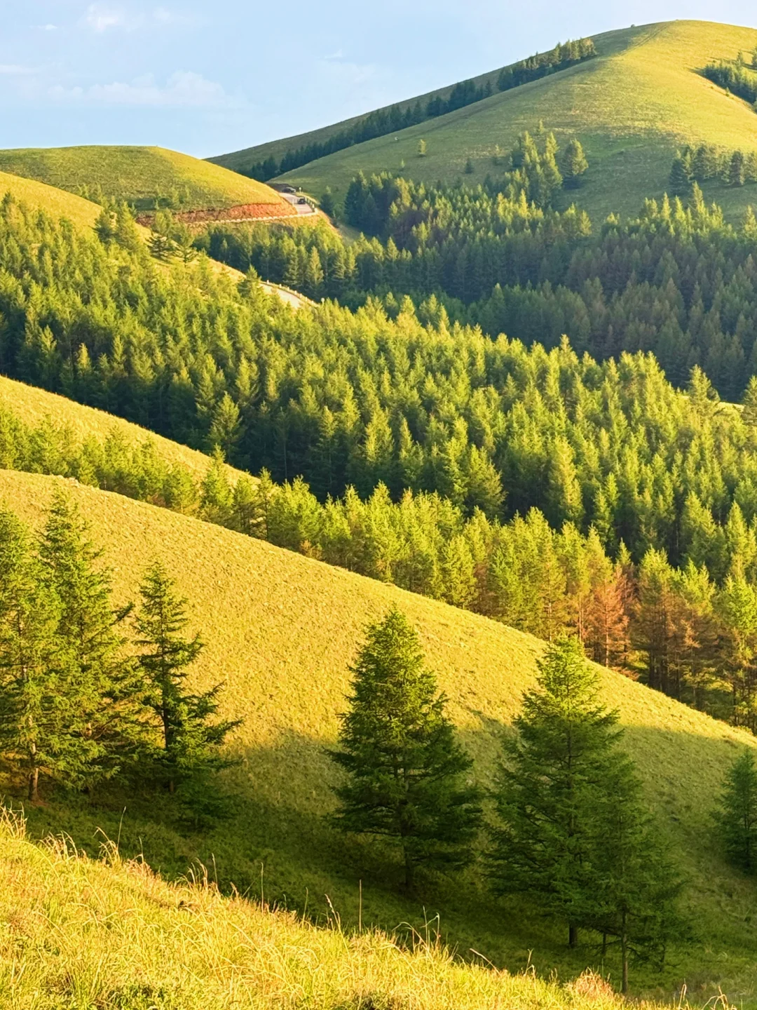 这个夏天总要来趟内蒙古小瑞士🌲(附live图)