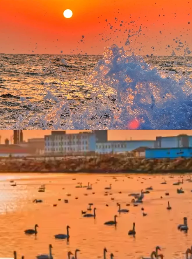 拜托！3-5月去青岛旅游的宝子们一定要看！