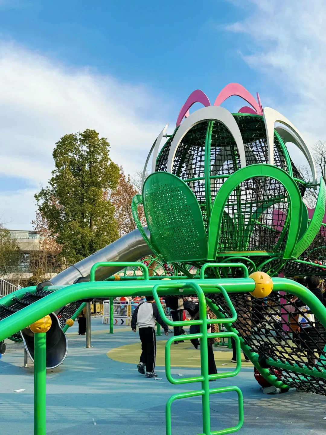 西安🚄一小时，洋县油菜花小众路线及美食