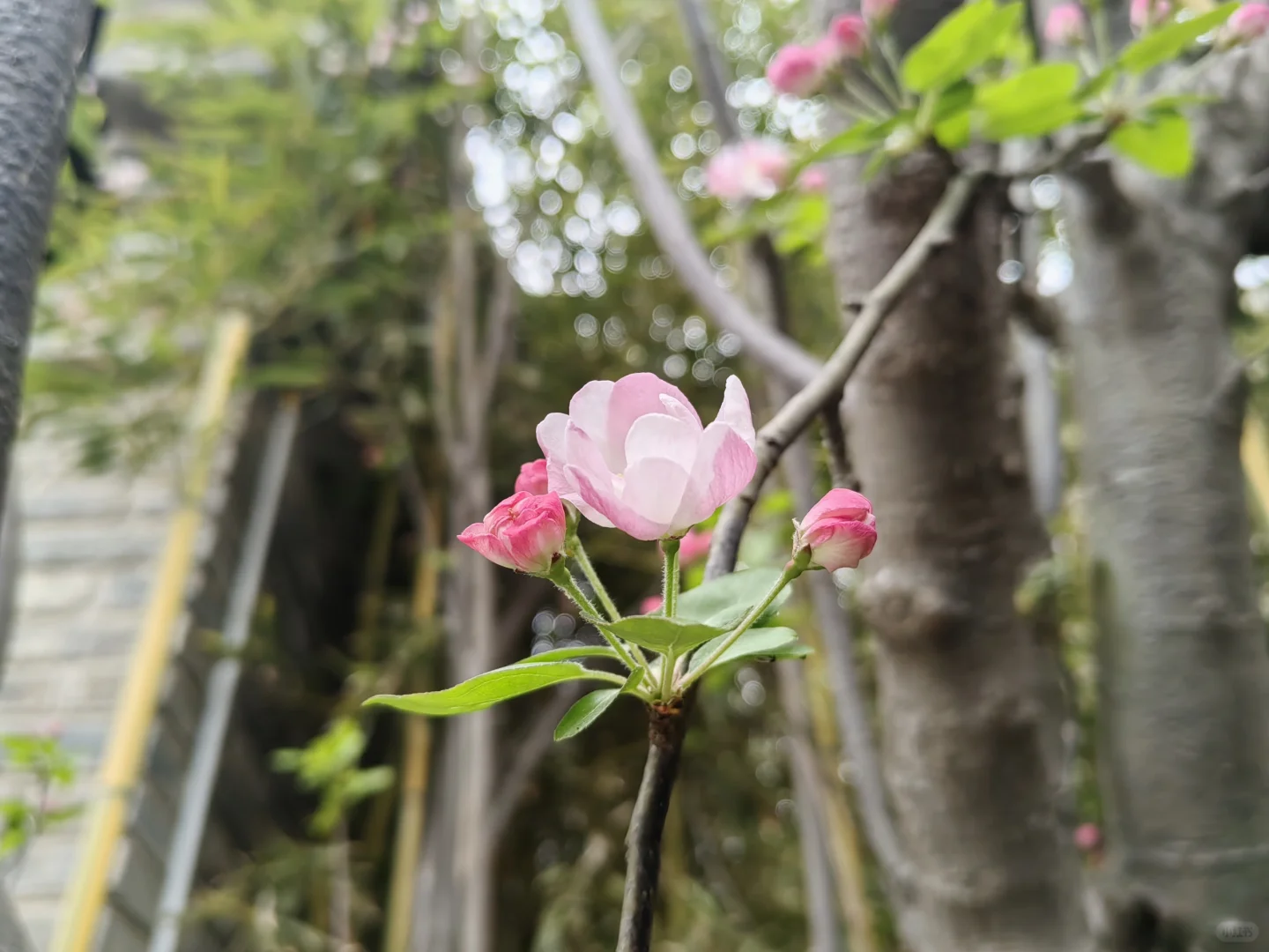 朱仙镇，坑坑景区，不推荐
