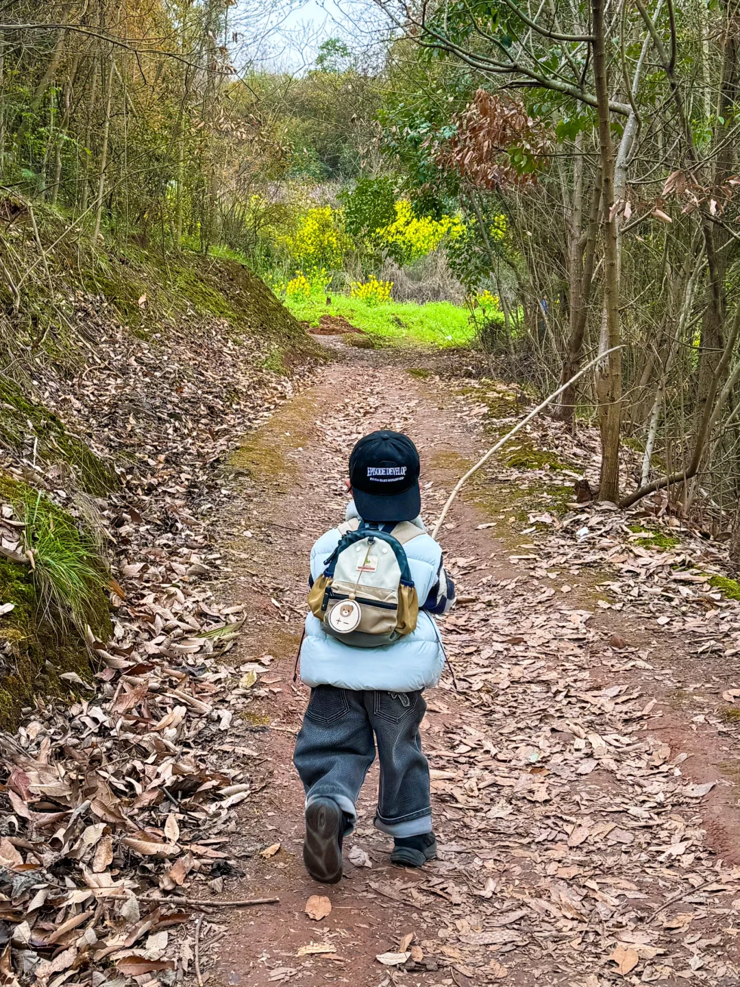 成都1h｜绝美山脊徒步路！赏花🌸看火车🚞坐船