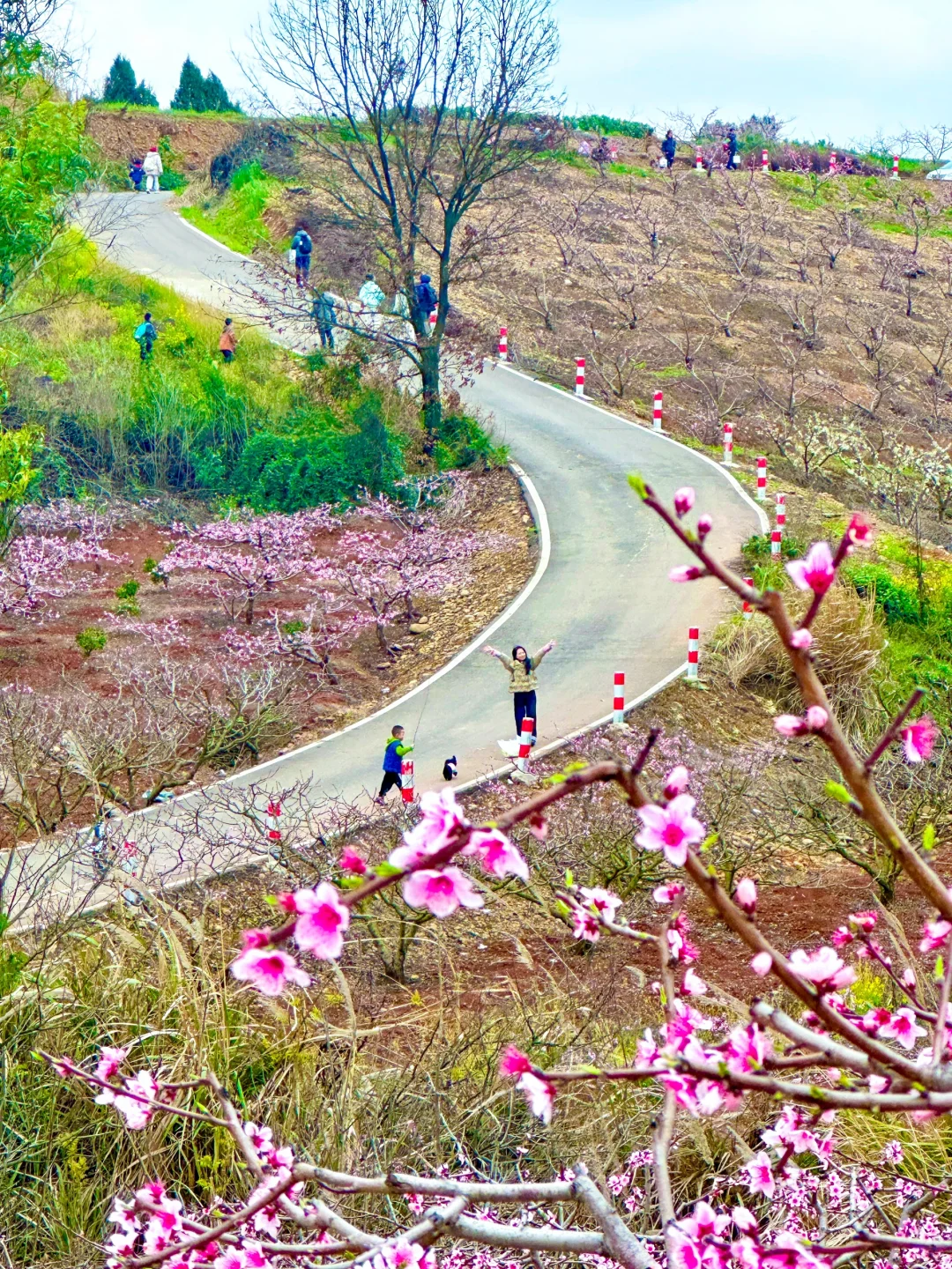 成都1h｜绝美山脊徒步路！赏花🌸看火车🚞坐船