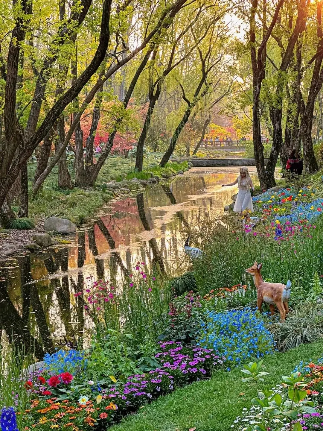 🌸共青森林公园春日撒野全攻略🌸