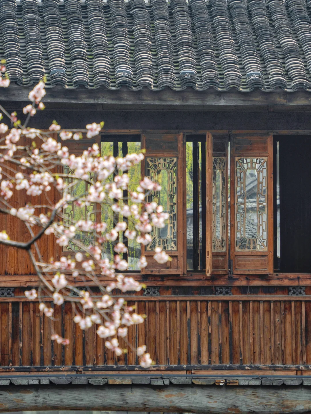 迄今为止，我最喜欢的古城出现了‼️