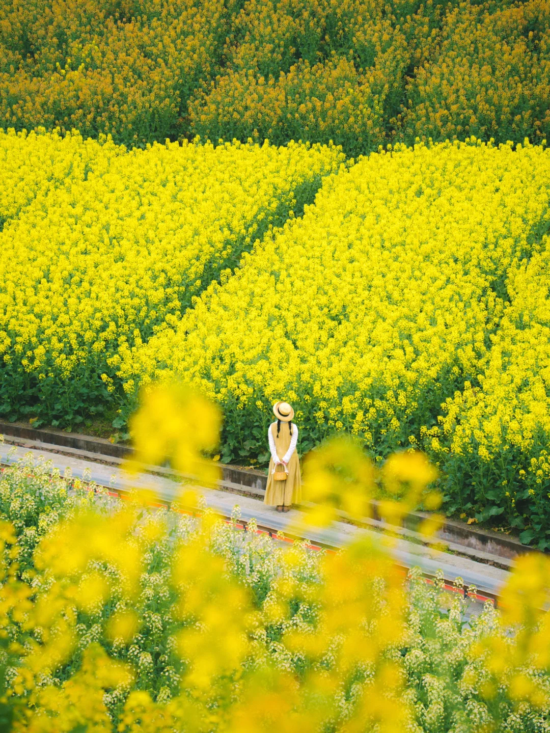 🚄高铁直达宝藏小城，两天一夜冷门小众玩法！