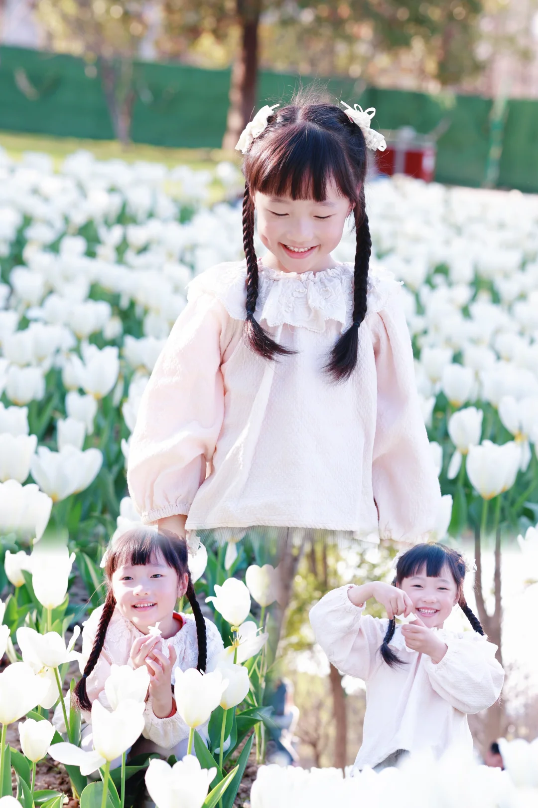 📍灵湖｜小木屋