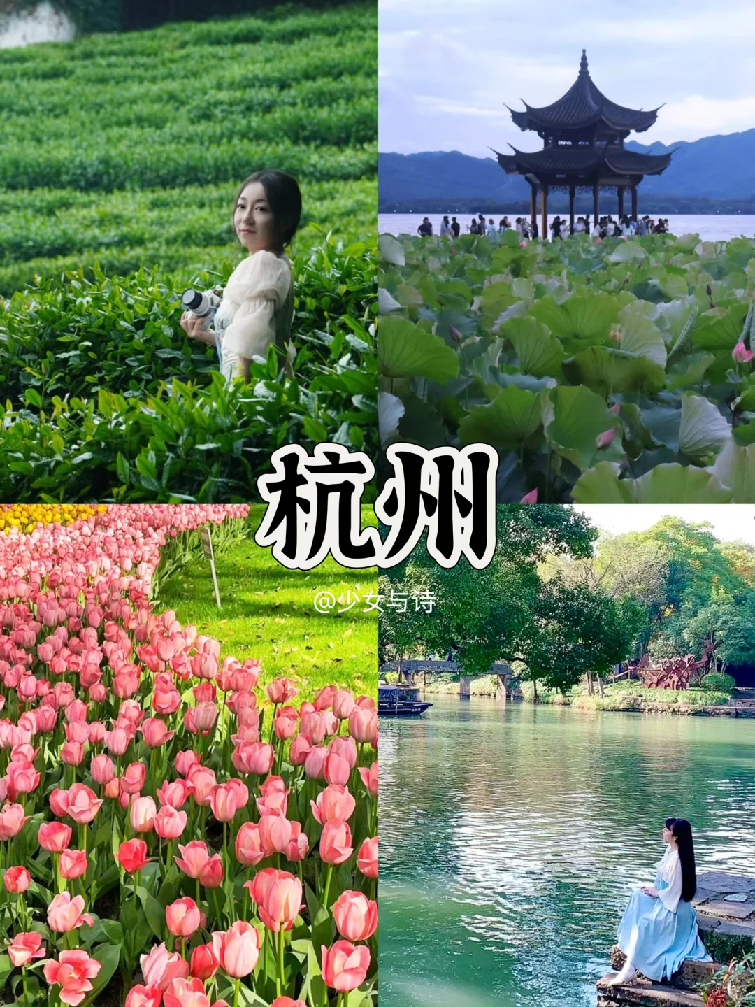 清明旅游丨解锁9个宝藏踏春城市🌸