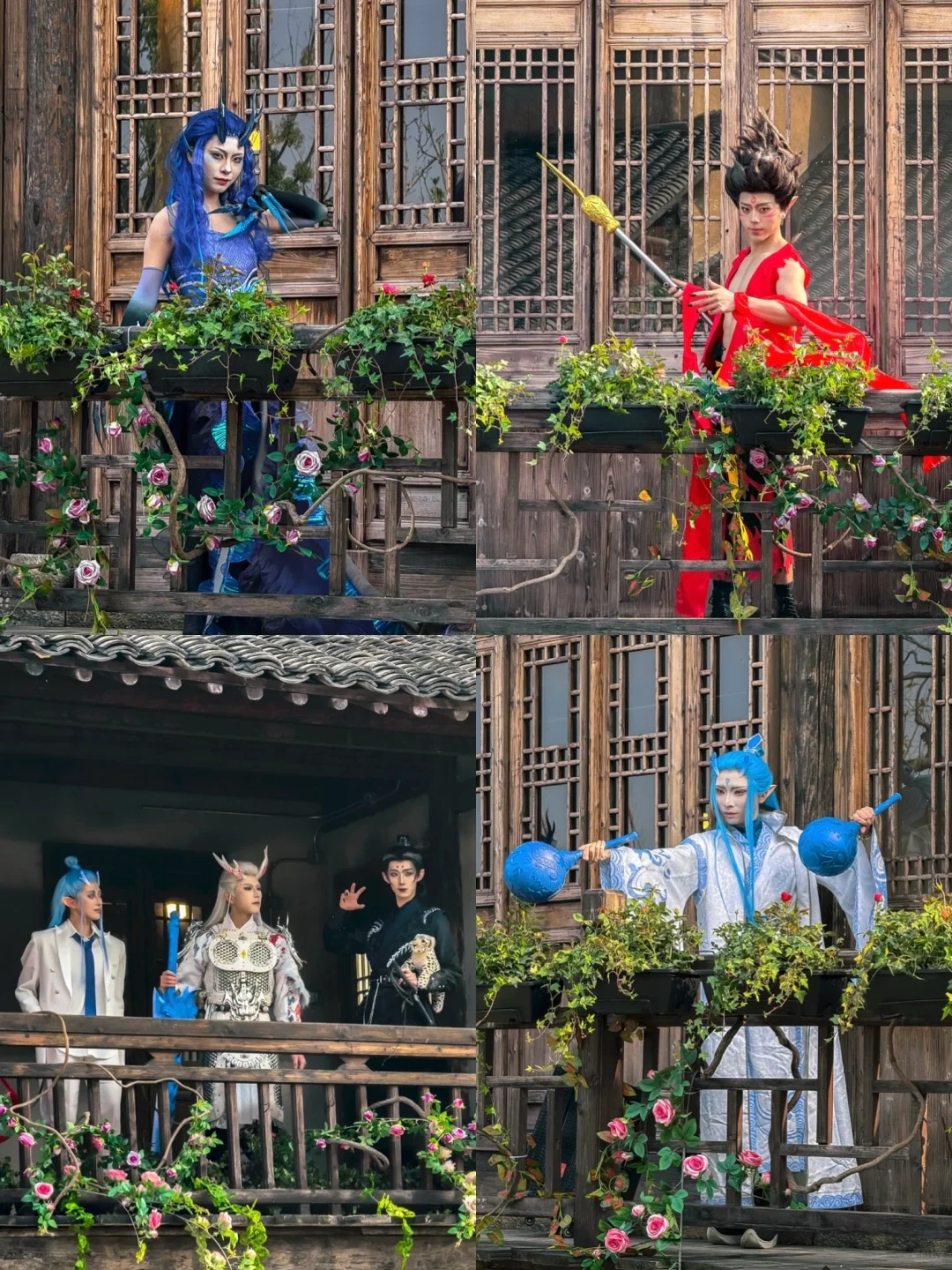 苏东坡没骗我，江浙沪被严重低估的宝藏小镇❗