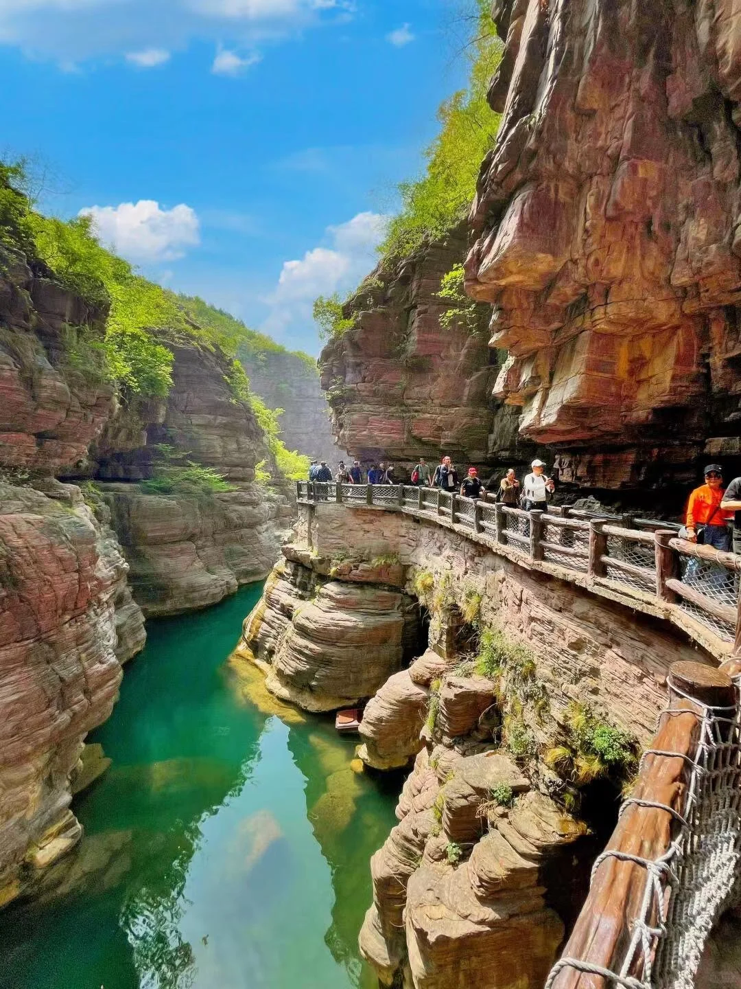 云台山3月免门票活动🤩成人截止到3.23日哦