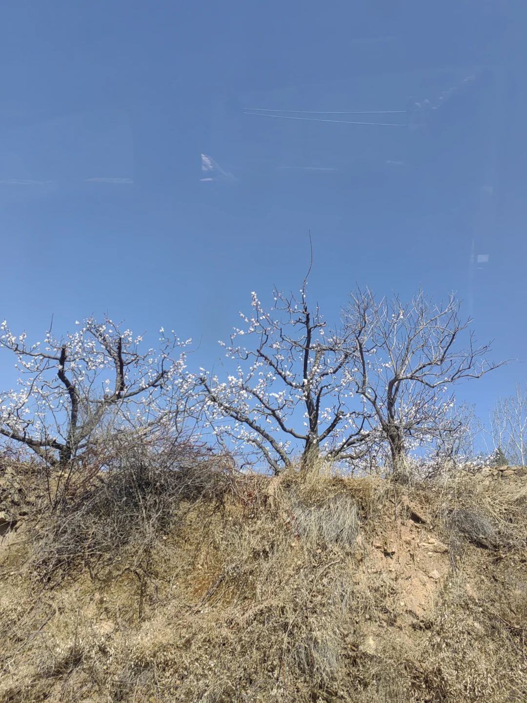 退休后我在南部山区的闲居生活