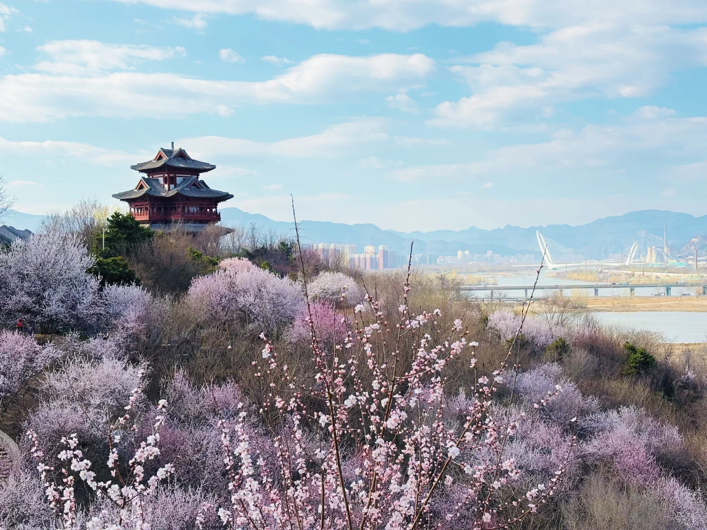 3.18 园博园桃花谷（附机位和地图）