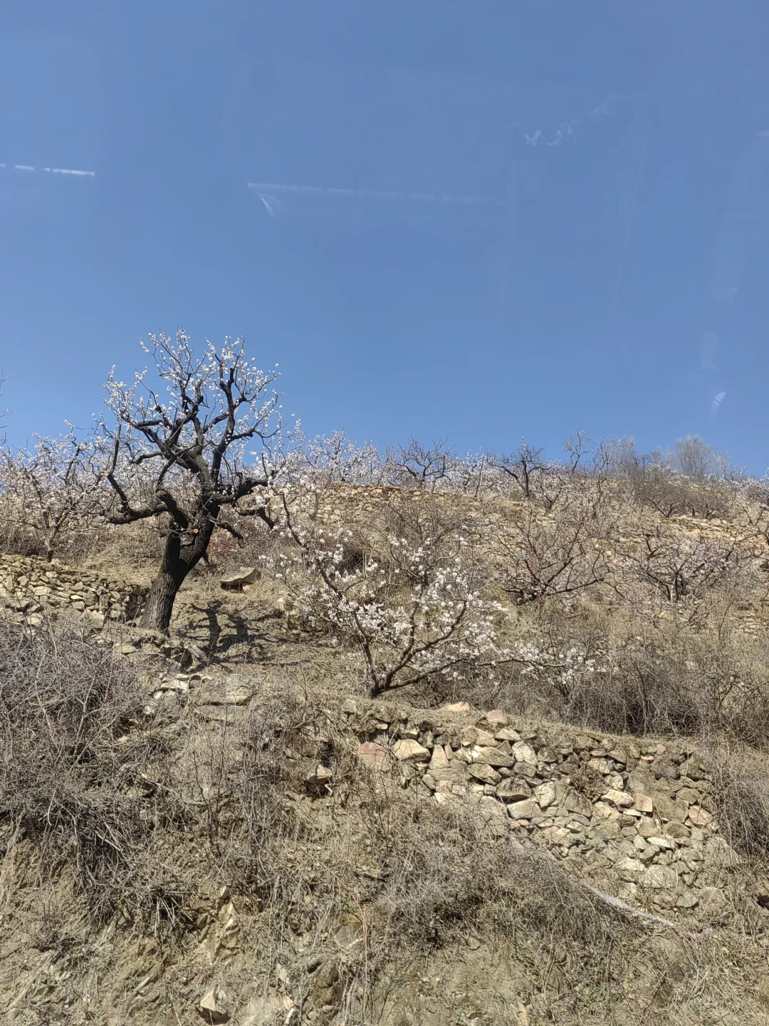 退休后我在南部山区的闲居生活