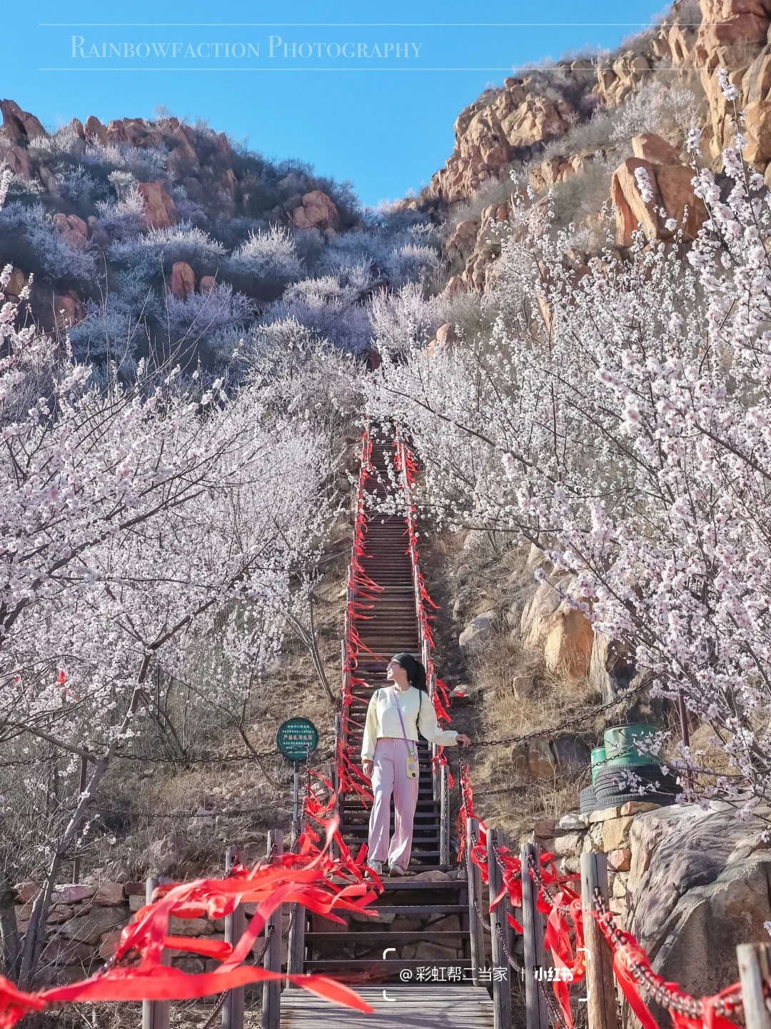 春分上春山🌸后花园白虎涧花海天梯开爆了！