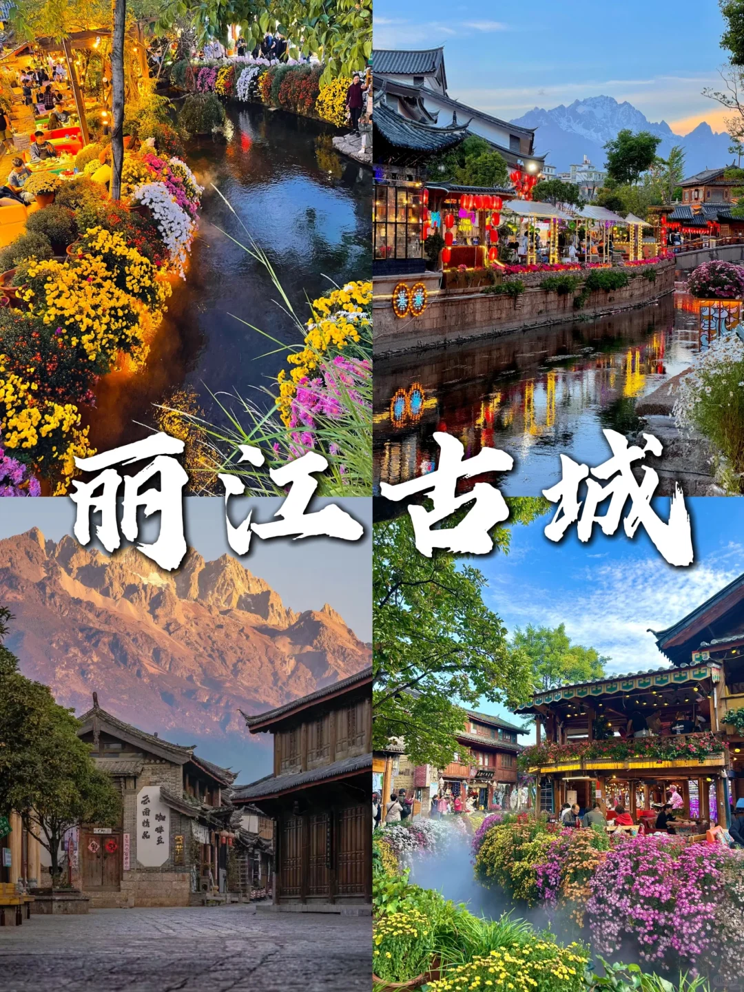 ✨丽江古城旅游攻略✨