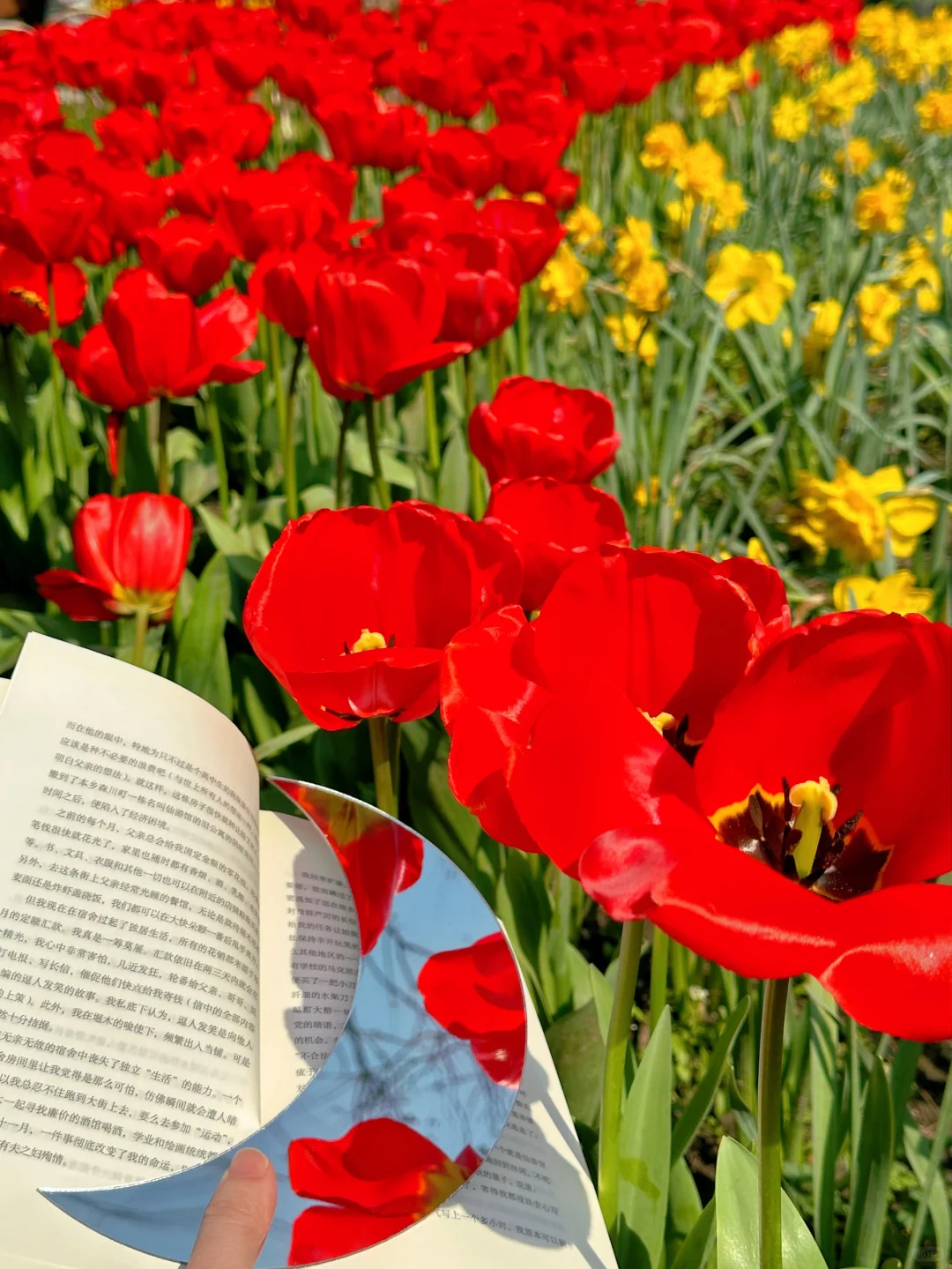 3.19实况！杭州太子湾刚回来，全是大实话！