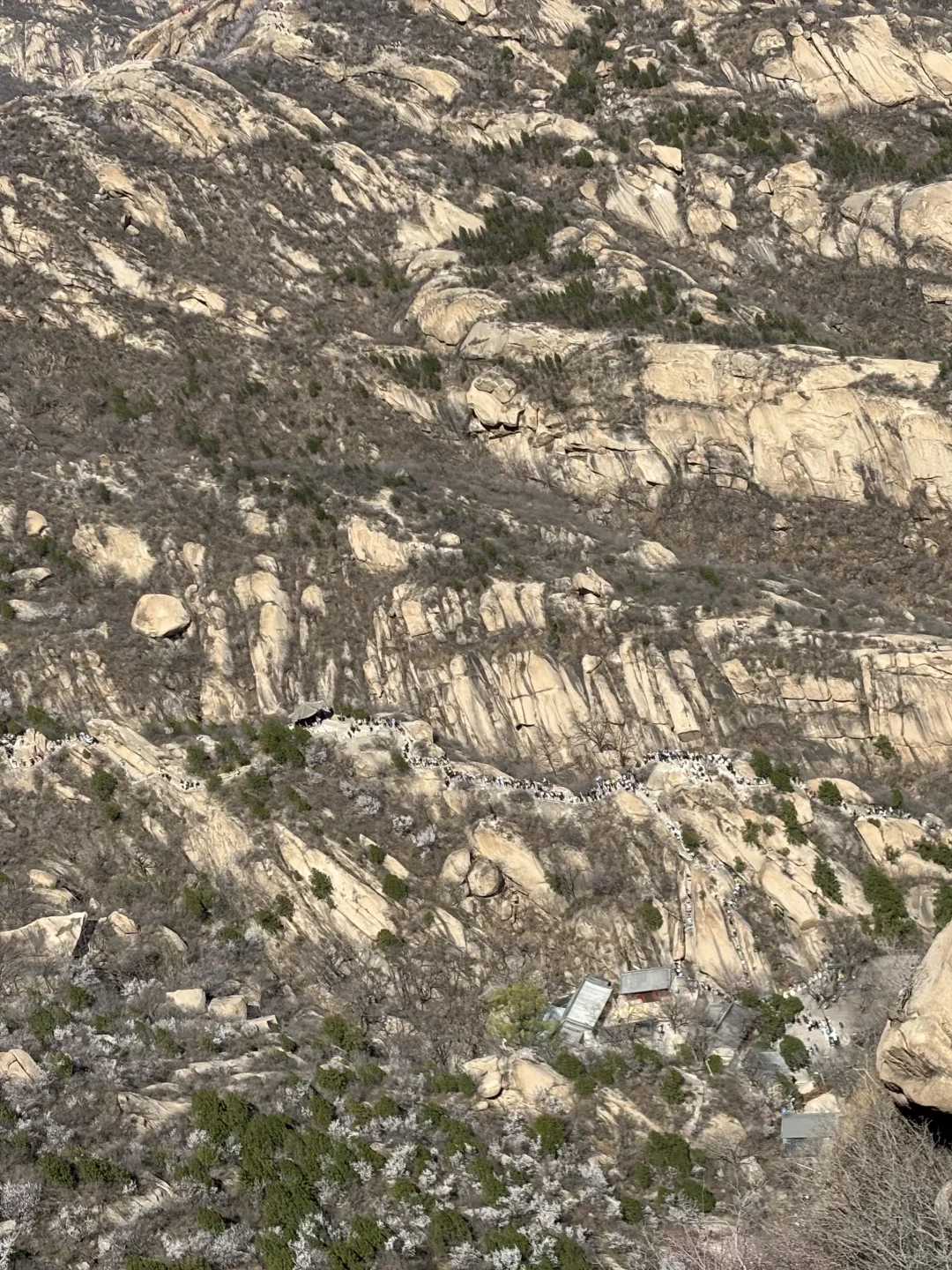 🌸桃花奇石,北京凤凰岭桃花开啦!