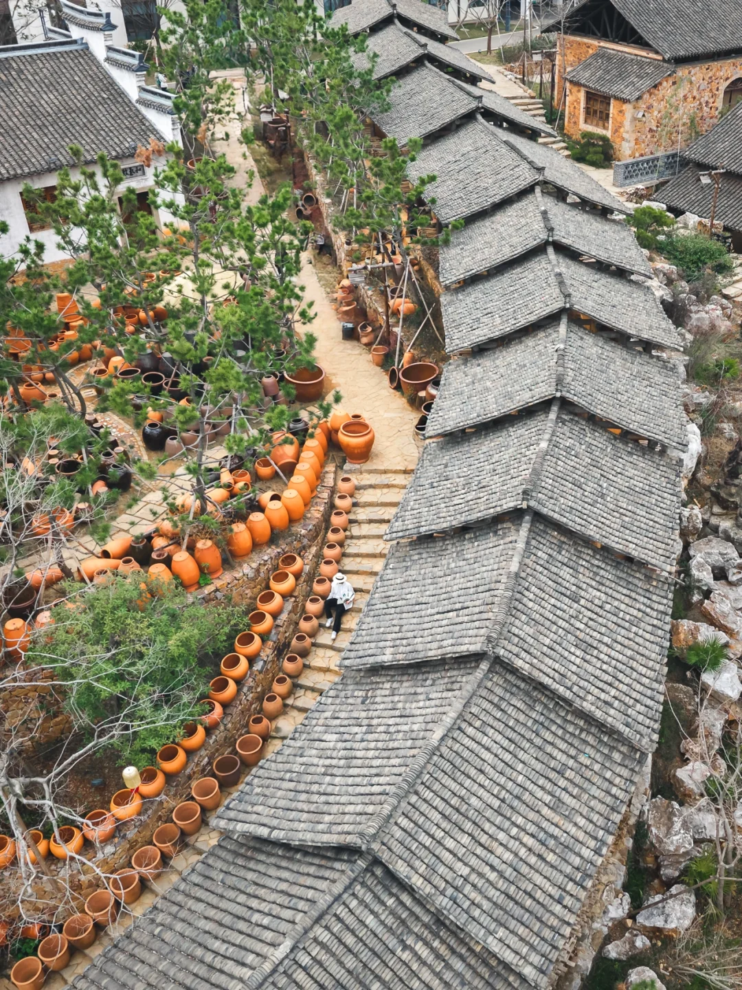 苏东坡没骗我，江浙沪被严重低估的宝藏小镇❗