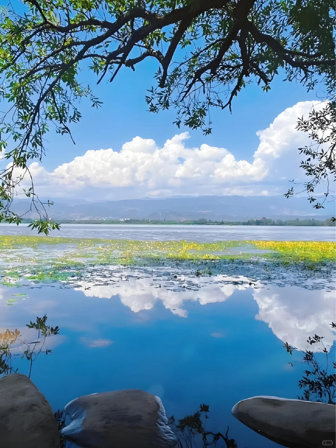 ✨大理 | 苍山洱海，奔赴一场浪漫之约💕