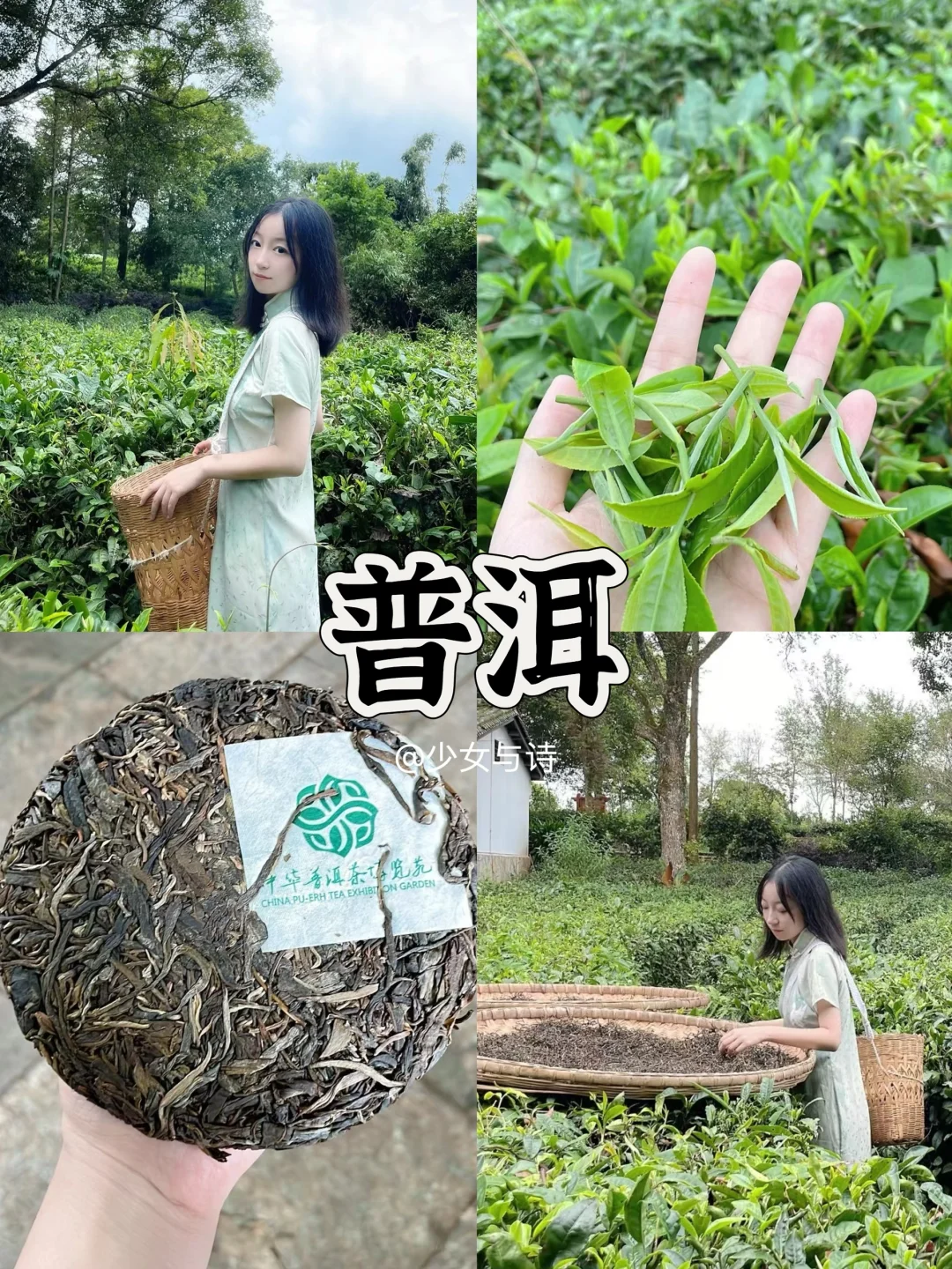 清明旅游丨解锁9个宝藏踏春城市🌸