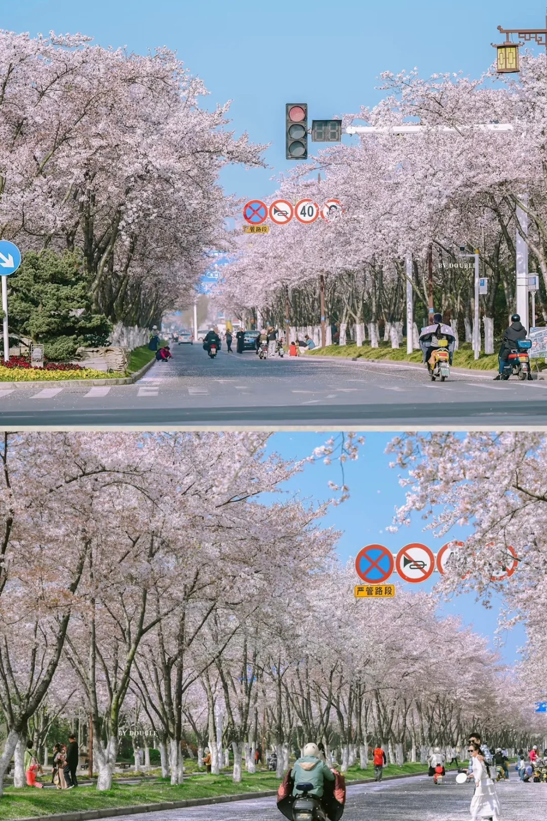 扬州会惩罚每个不做攻略的人！