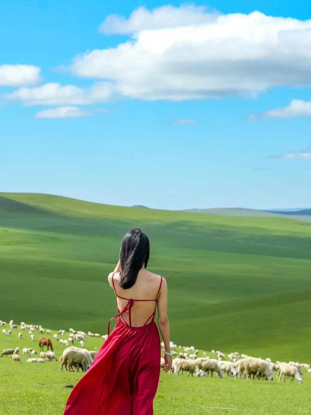 呼伦贝尔已回！去了三次的亲子旅游攻略给你