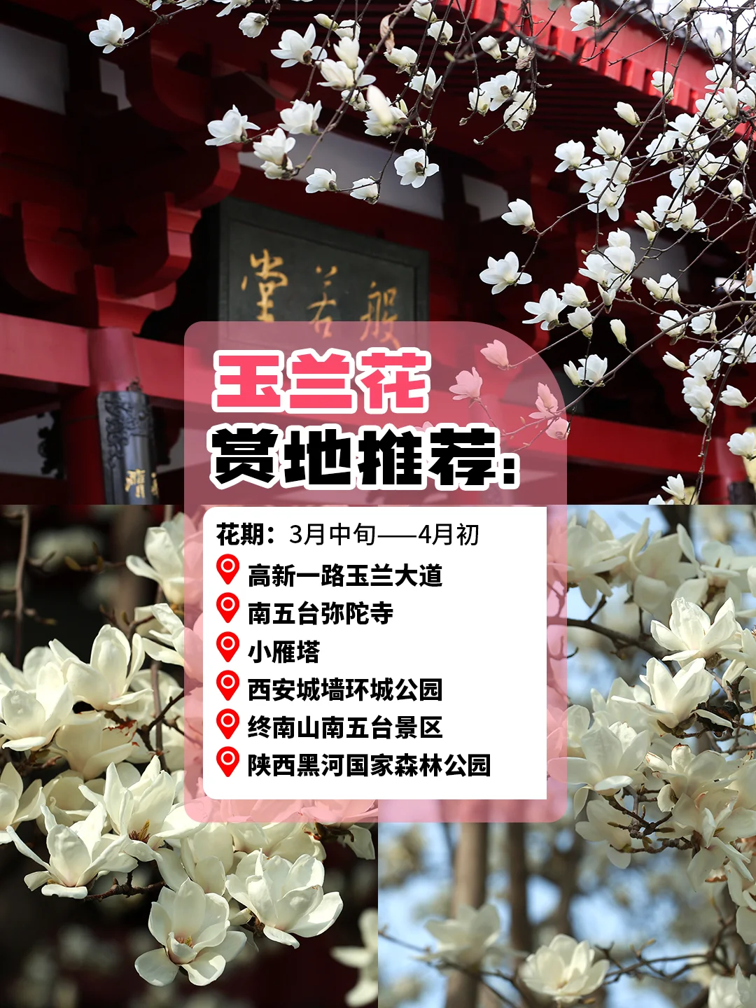 西安旅游赏花攻略🪸3～5 月份赏花圣地