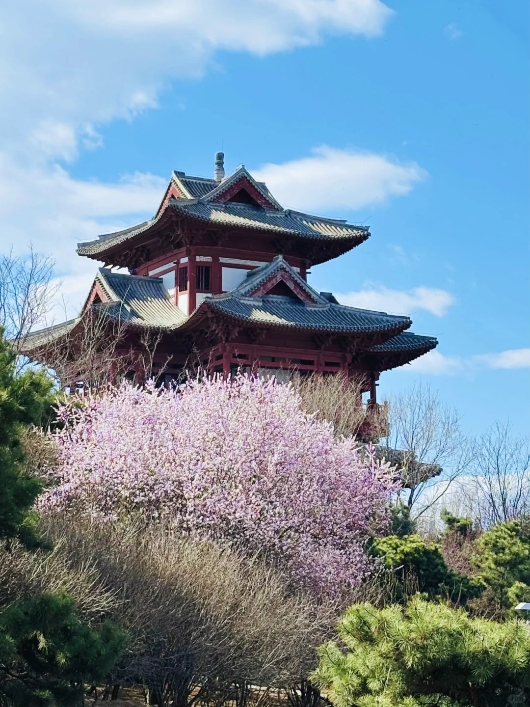 3.18 园博园桃花谷（附机位和地图）