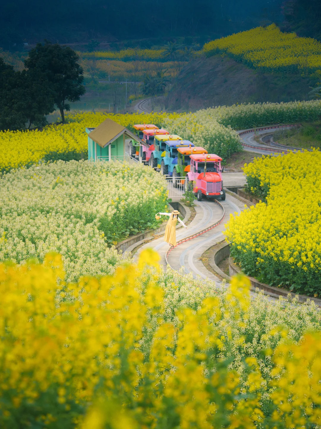 🚄高铁直达宝藏小城，两天一夜冷门小众玩法！
