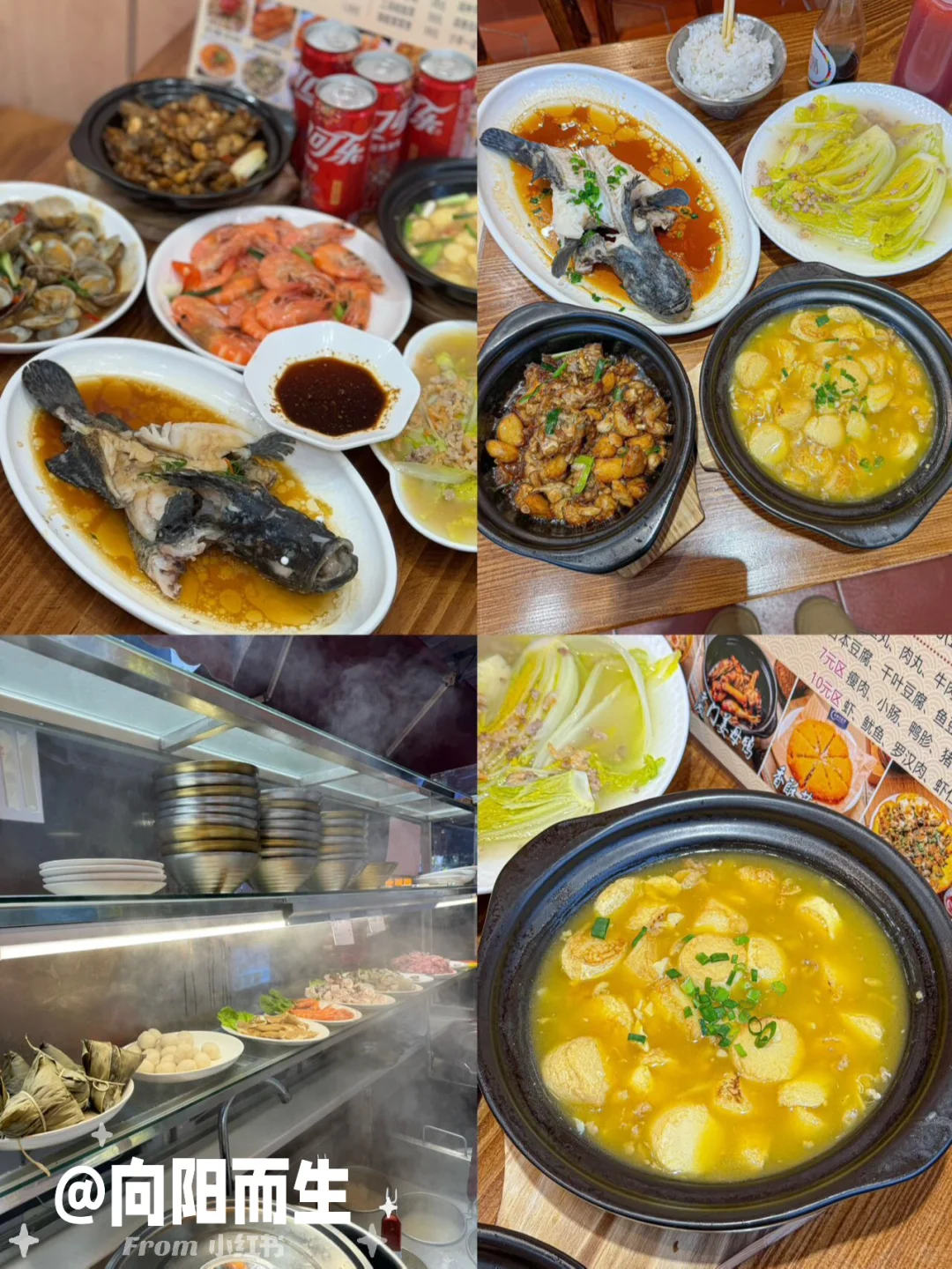 听劝！！厦门旅游不费脑攻略。。