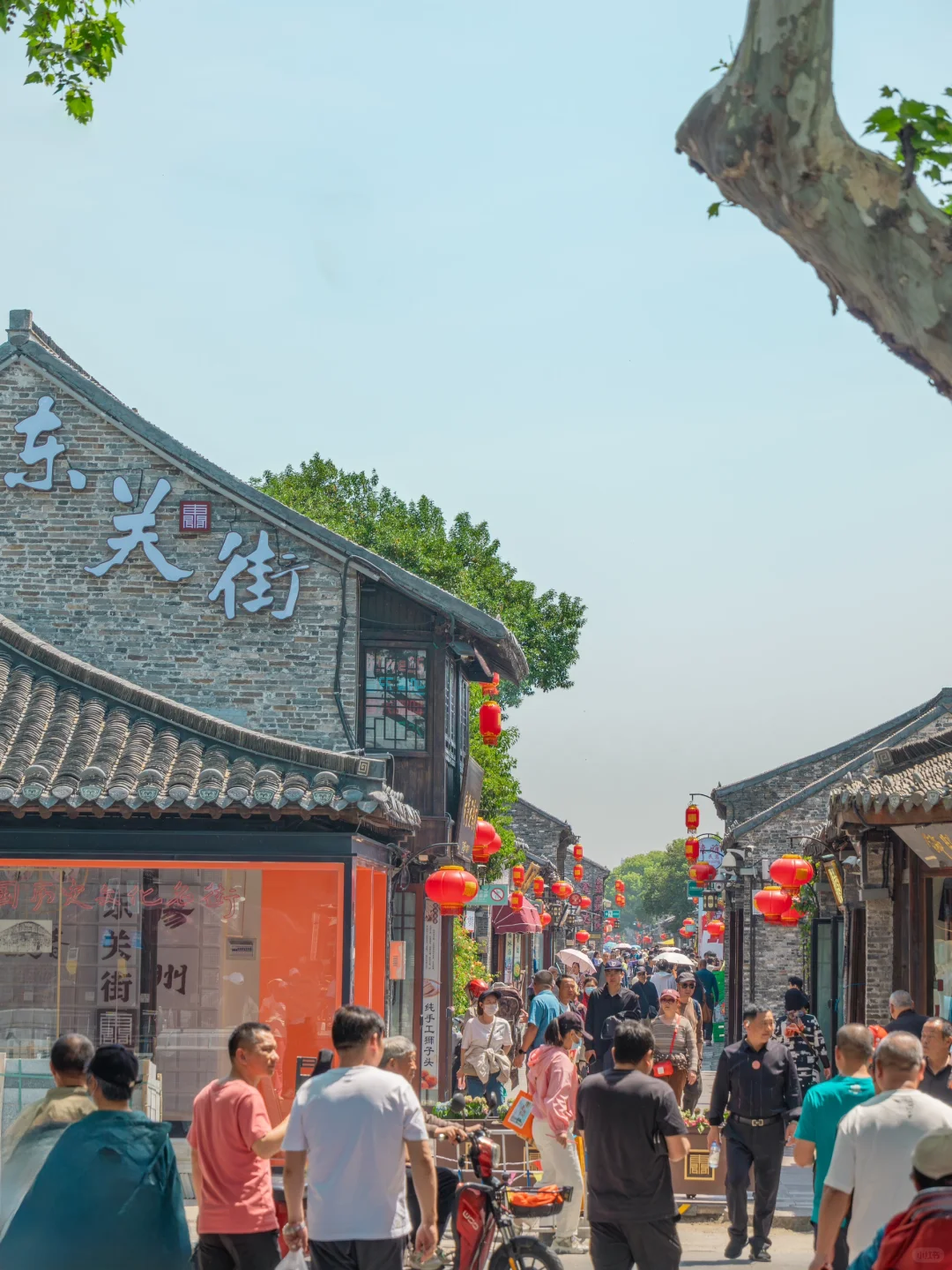 烟花三月下扬州❗️两天一夜不废腿攻略