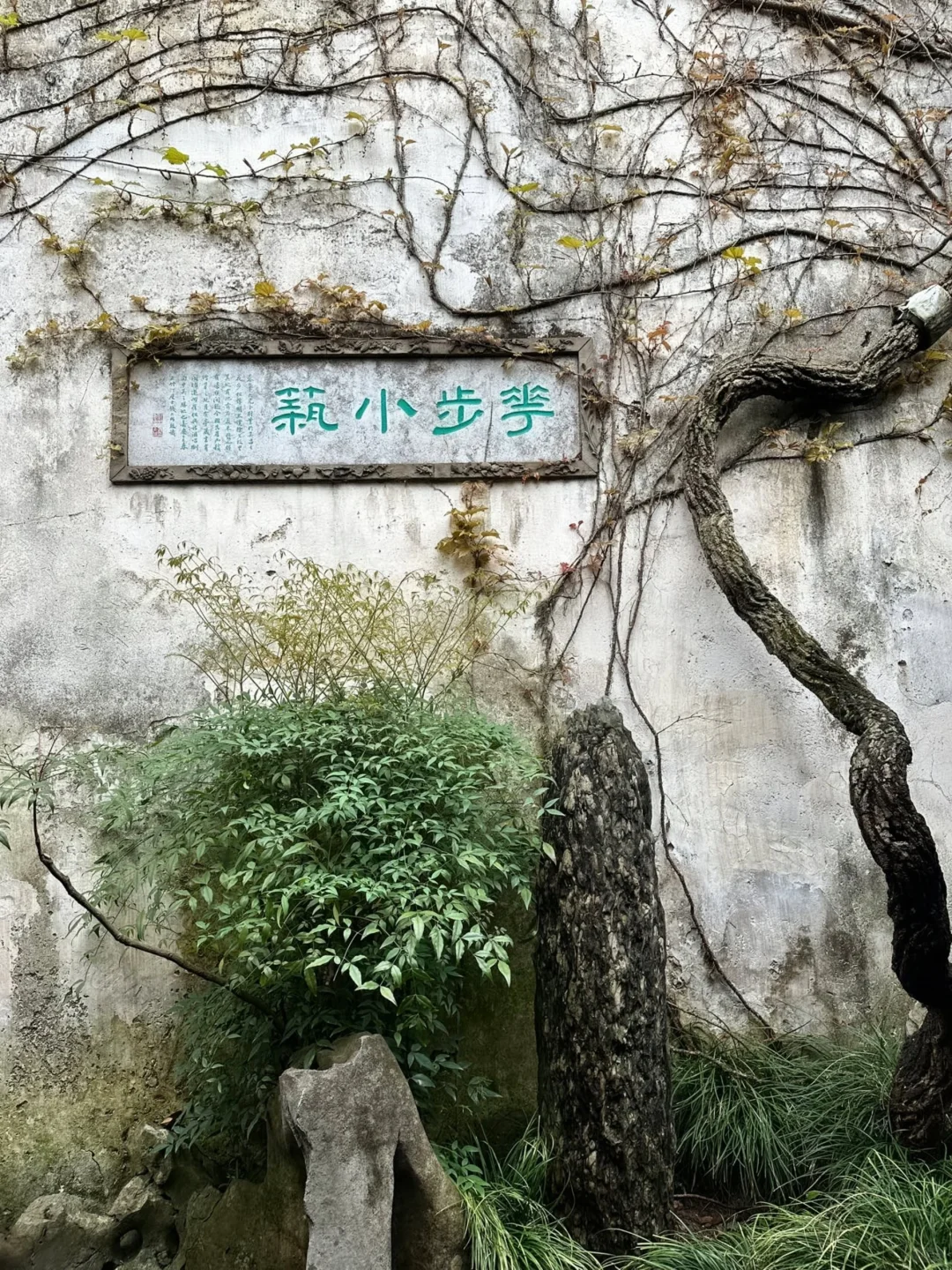 苏州📍2天1晚攻略已做好✅ 建议复制这条路线