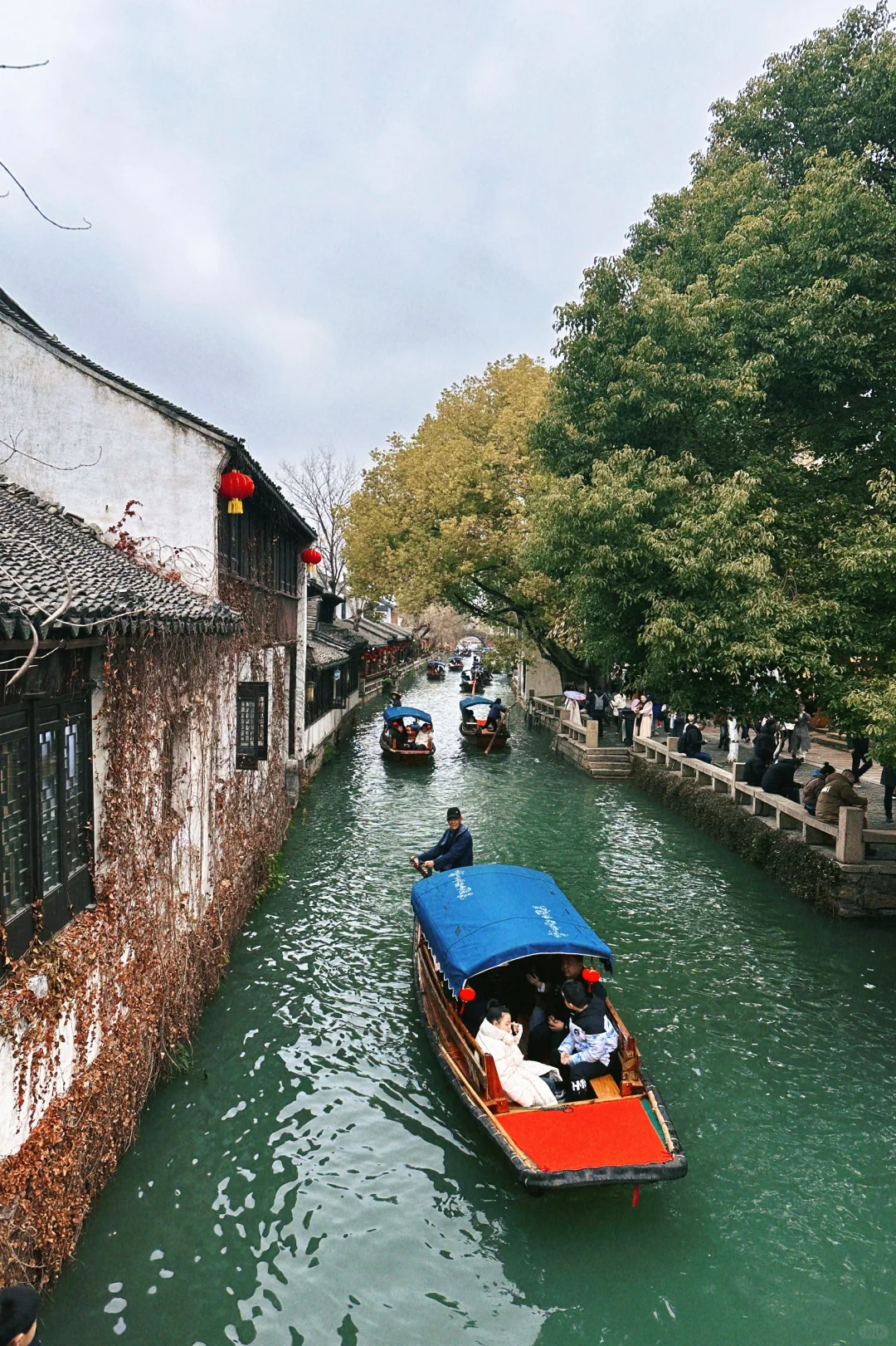 墨绿的小城水乡周庄古镇怎么玩？必看❗