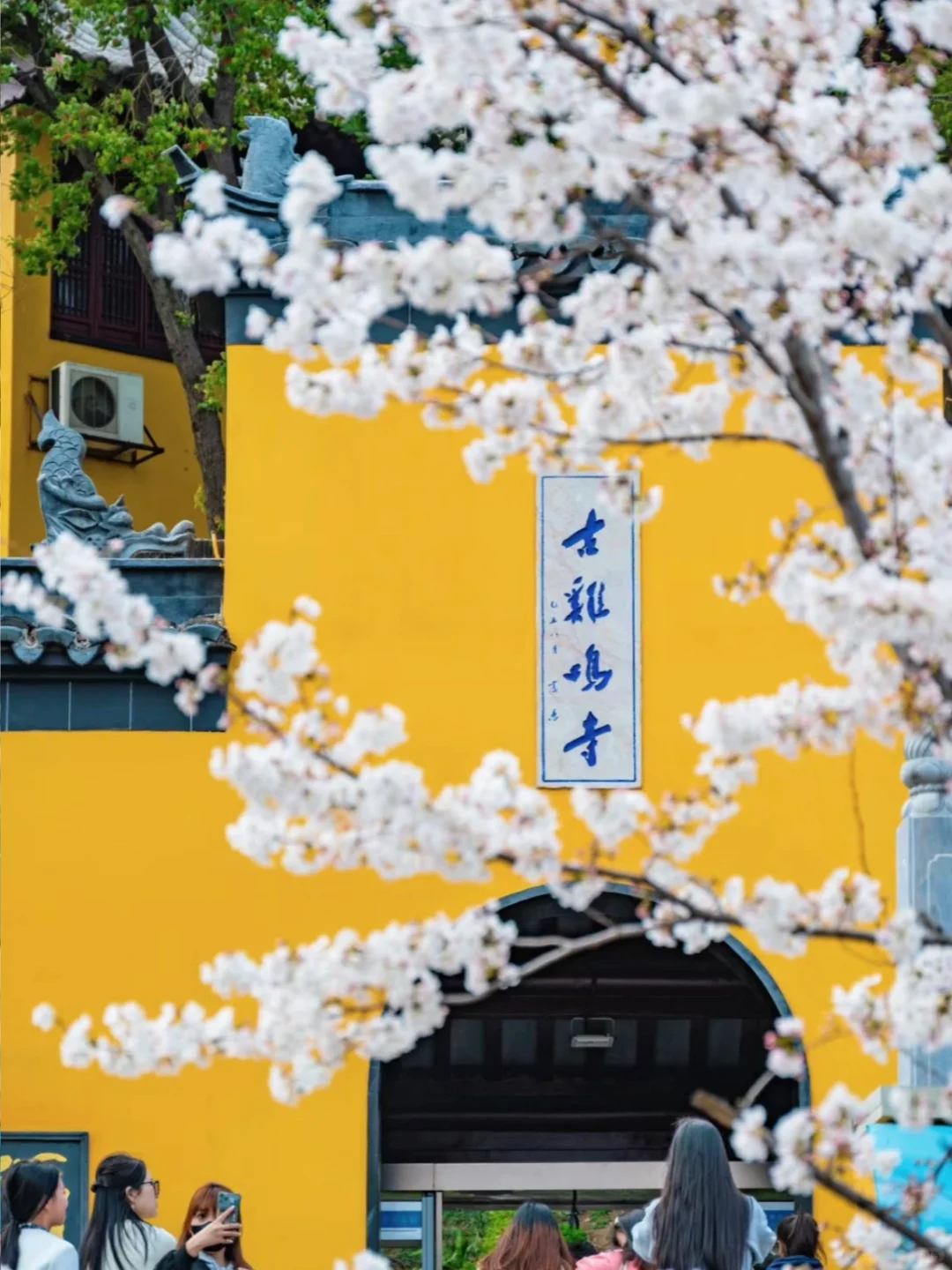 3-5月🌿适合大学生穷游的10大城市🔥