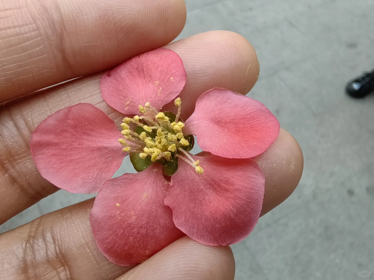 朱仙镇，坑坑景区，不推荐