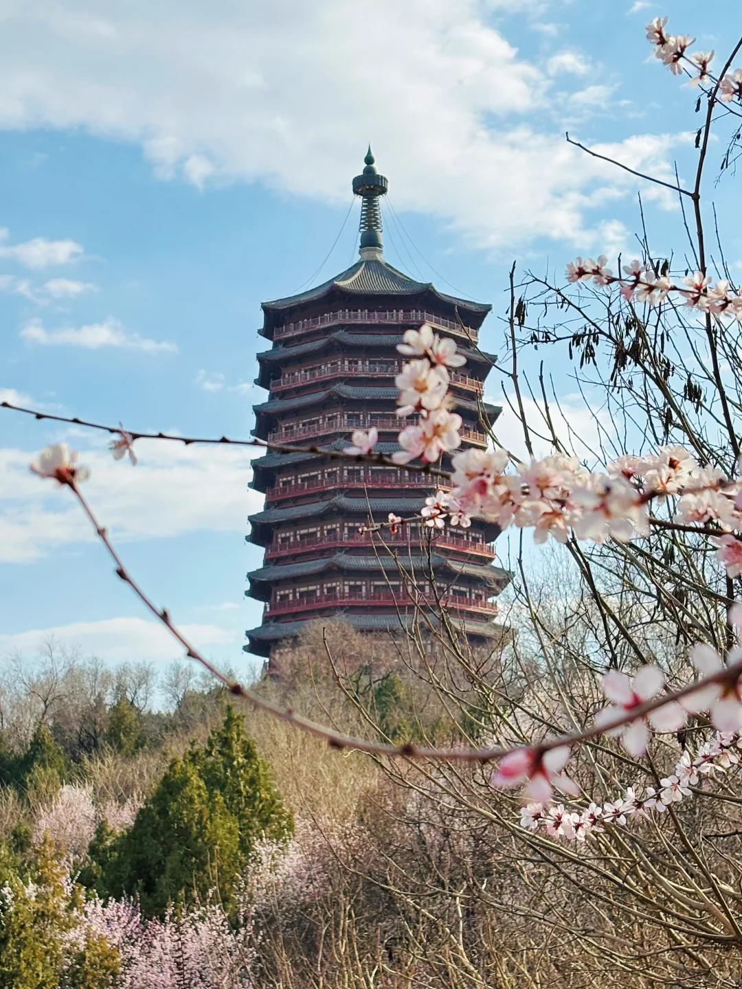 3.18 园博园桃花谷（附机位和地图）