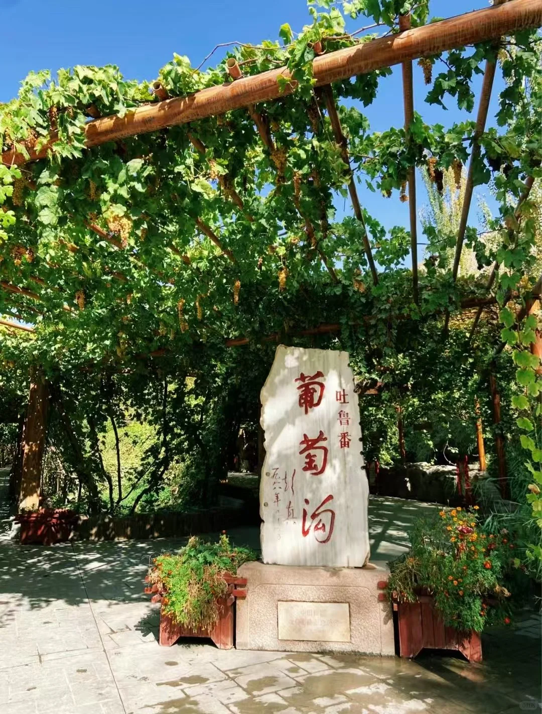 新疆五一五天四夜旅游攻略🔥流量密码悟了