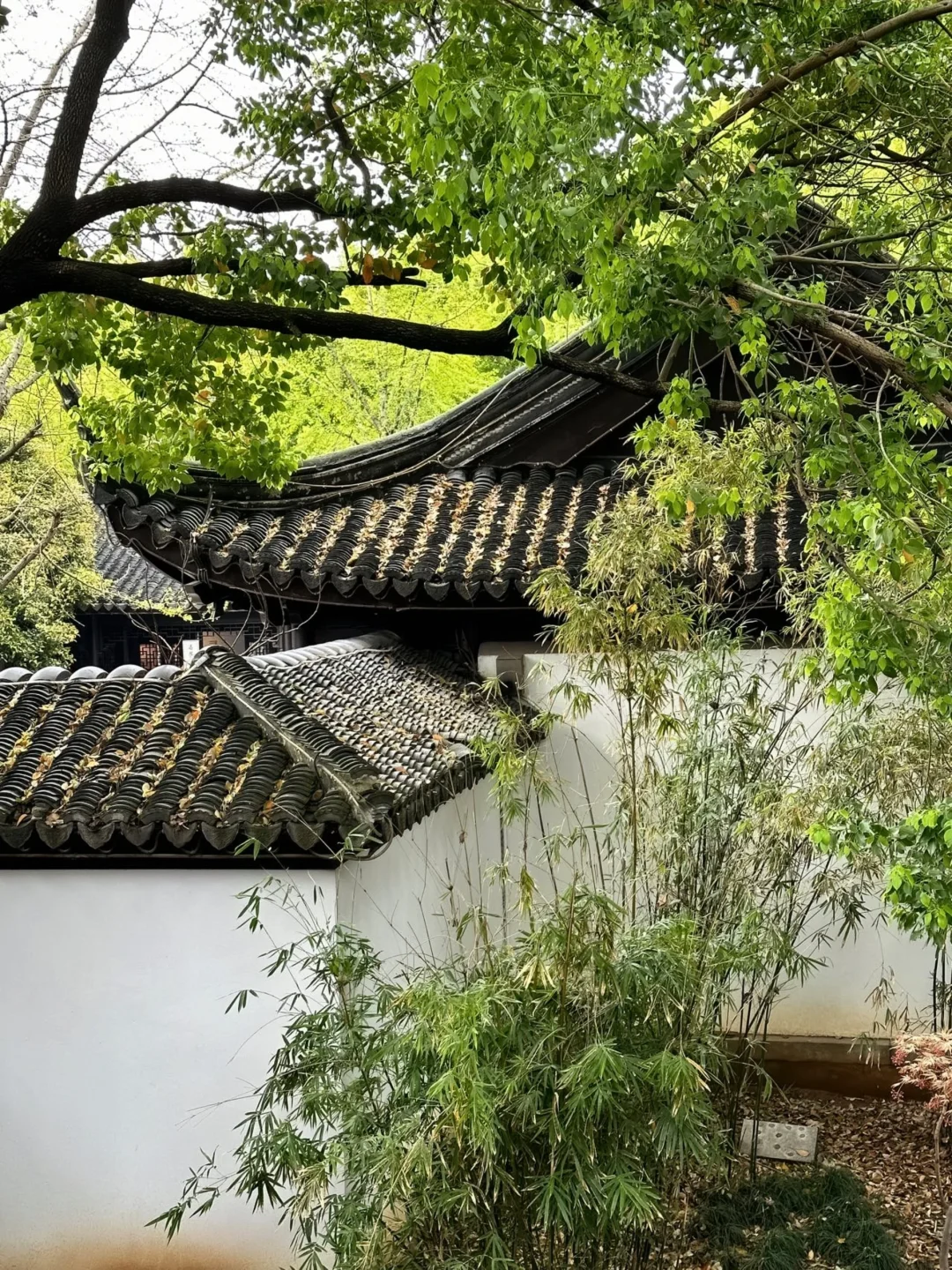 苏州📍2天1晚攻略已做好✅ 建议复制这条路线