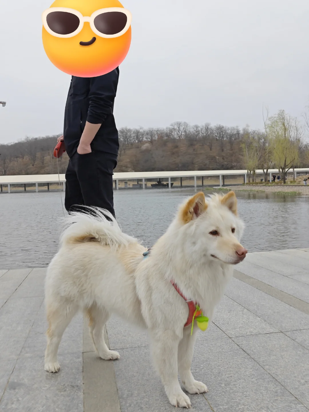 说走就走的日照之行