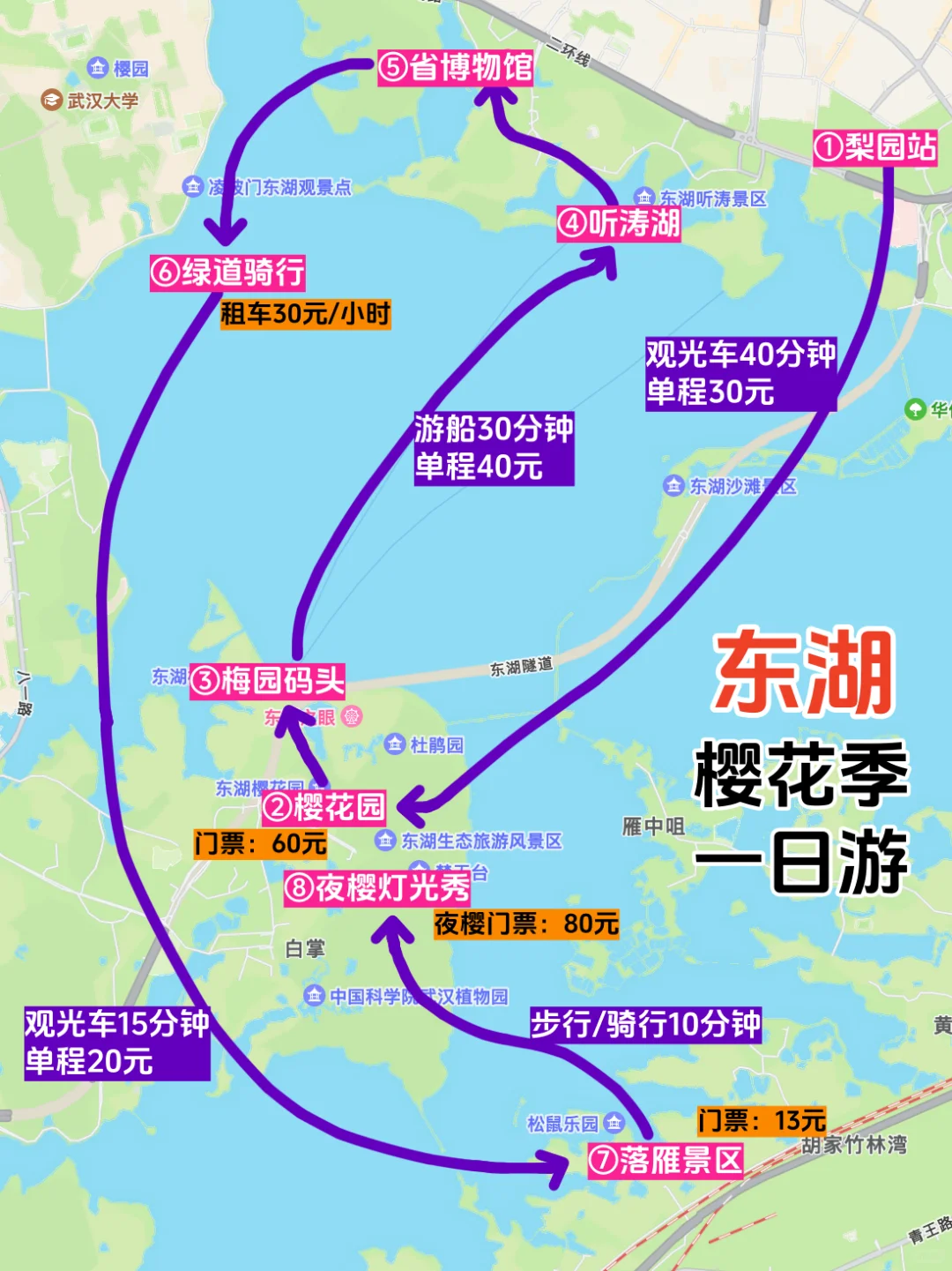 武汉东湖,经典一日游路线✔樱花季✔