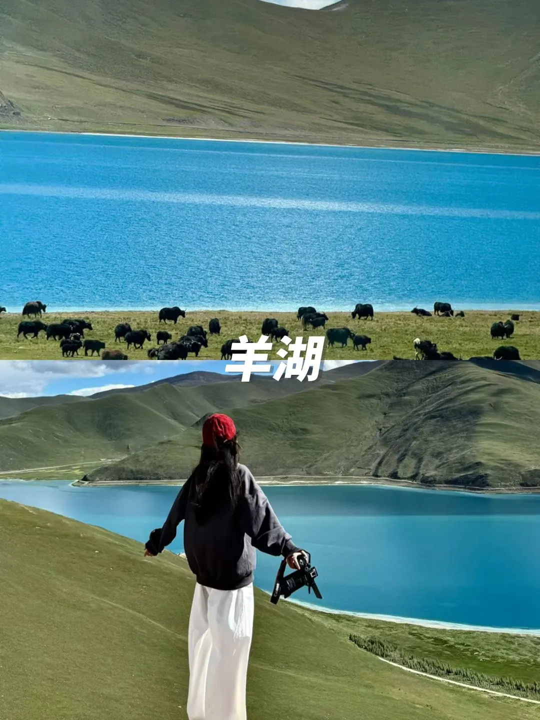 西藏旅游⚠️林芝羊湖纳木措4天3晚攻略✅