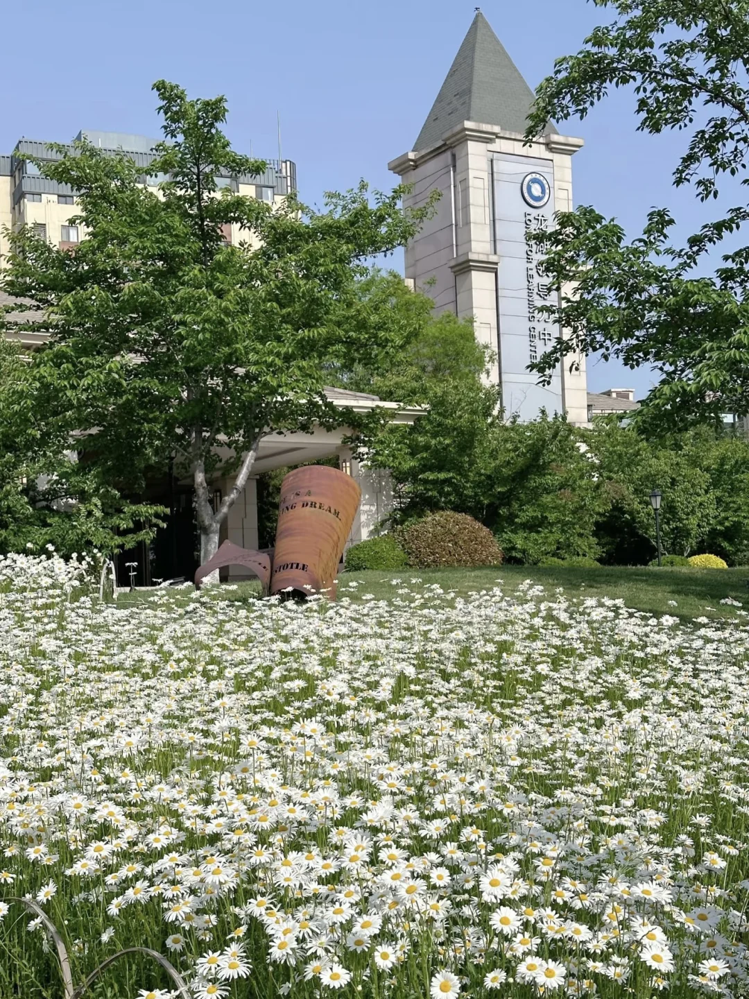烟台 | 春日赏花🌺开始期待跟花撞个满怀