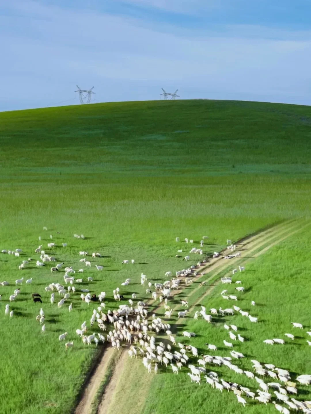 呼和浩特4天3夜！保姆级攻略City Walk路线