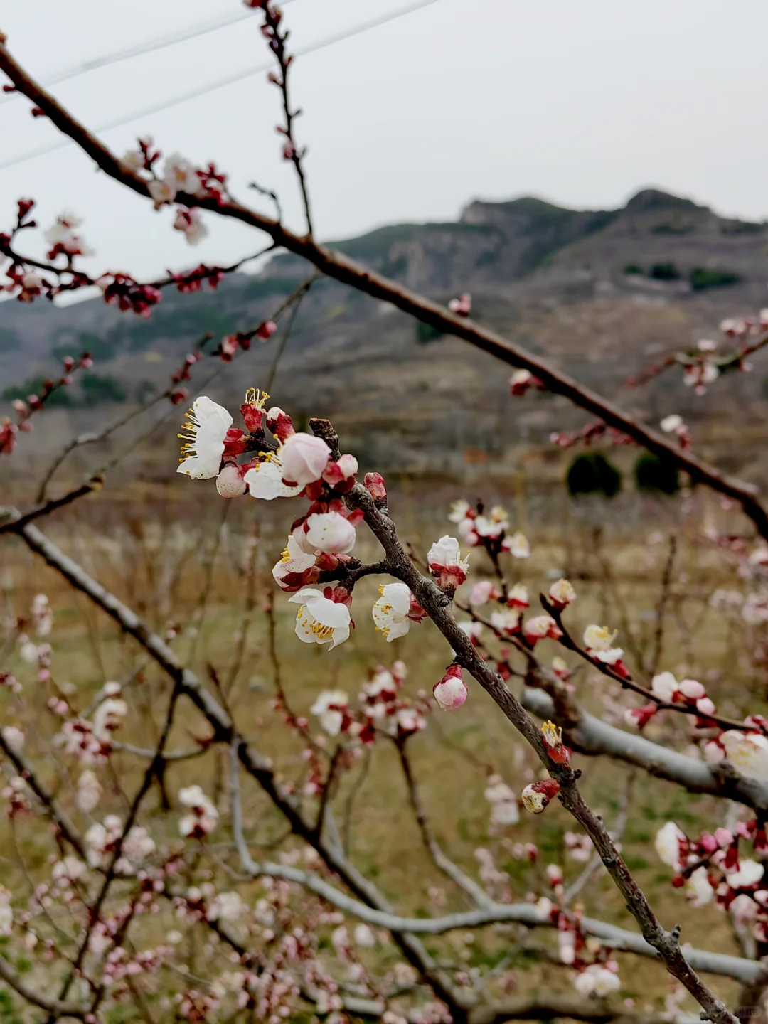 退休后我在南部山区的闲居生活