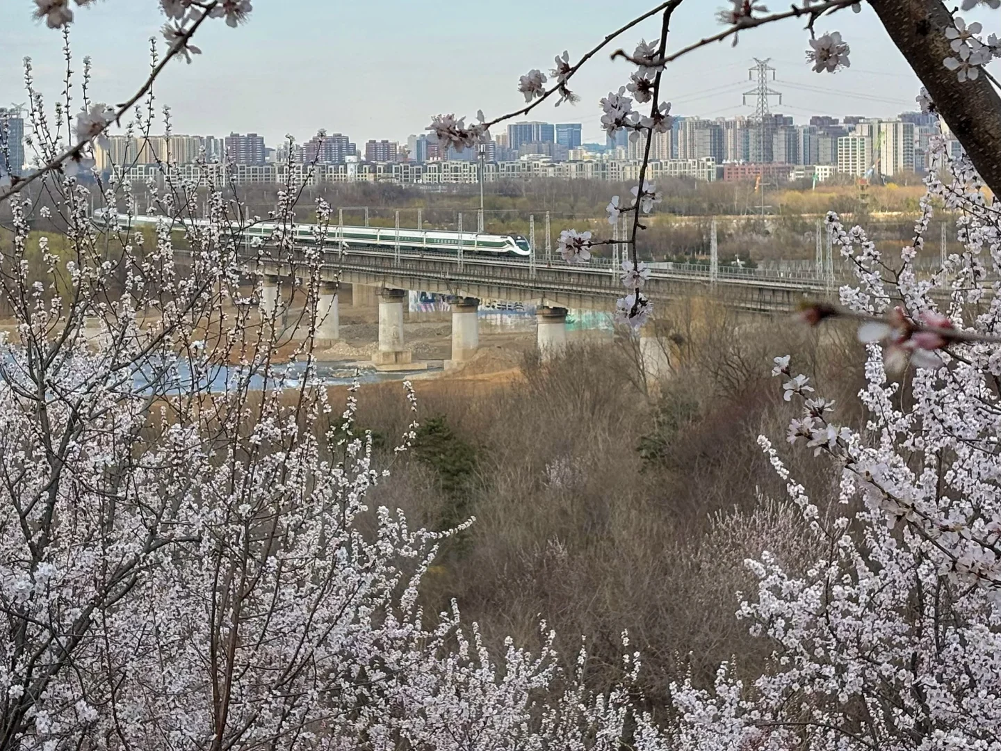 3.18 园博园桃花谷（附机位和地图）