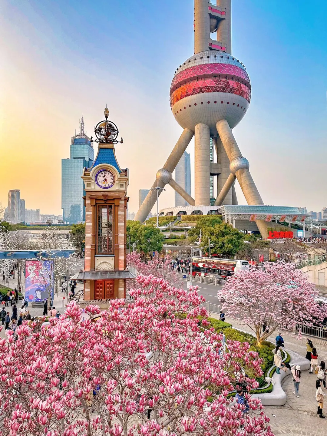 上海3月景点红黑榜📍建议去🆚不建议去