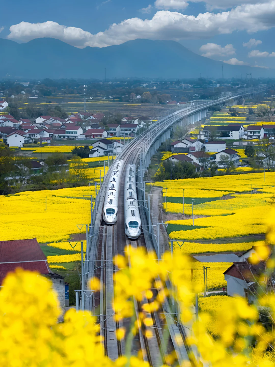 DeepSeek没骗我!我找到了最江南的西北小城