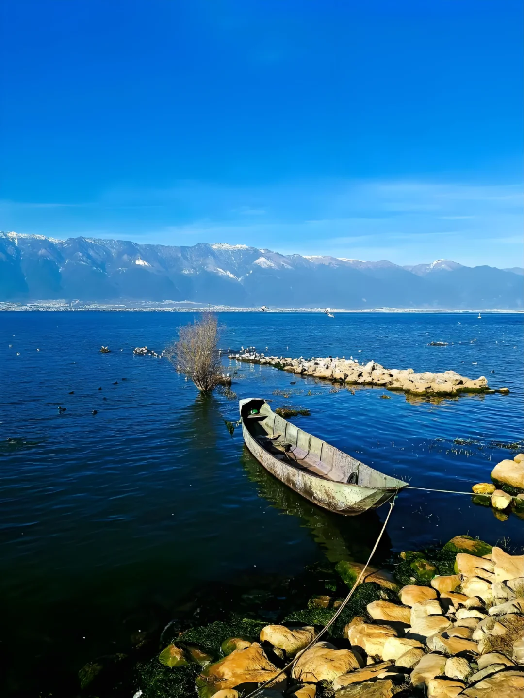 ✨大理 | 苍山洱海，奔赴一场浪漫之约💕