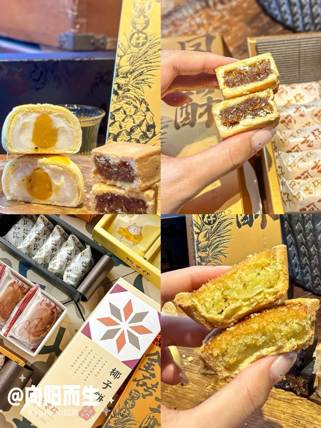 听劝！！厦门旅游不费脑攻略。。